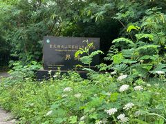 -缙云山景区