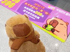 -盛京大奥莱(沈阳奥体店)