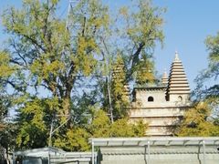 -北京石刻艺术博物馆(五塔寺)