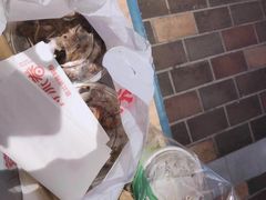 -特派卷·老北京烤鸭卷(合生汇购物中心店)