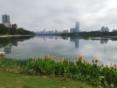 -南宁南湖公园