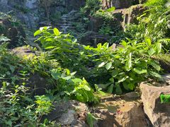 -珠海圆明新园