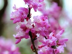 -天台山赤城山景区