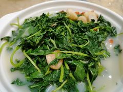 上汤香花菜-联邦酒楼