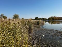 -野鸭湖国家湿地公园