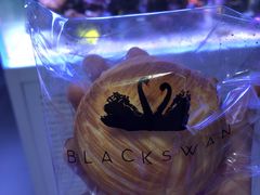-BLACKSWAN黑天鹅(环球店)