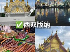 -西双版纳原始森林公园