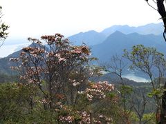 -羚羊峡古栈道森林公园