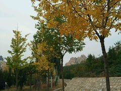 -天涯山