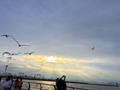 -东港音乐喷泉广场