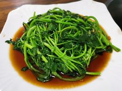 西洋菜-张家卫·阳江菜·小海鲜(肥婆湾桥店)