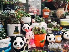 -AEON永旺(东方宝泰店)