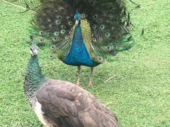 -昆明动物园
