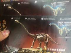 -自贡恐龙博物馆