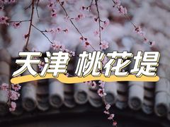 -桃花堤公园