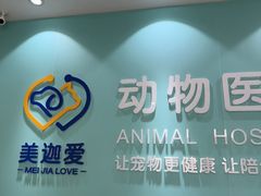 -美迦爱-动物医院·骨科·牙科·夜诊(朝阳路诊疗中心)