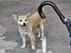 -颓记茶餐厅(美景总店)