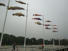 -湖州太湖旅游度假区-月亮广场