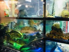 -叙亨轩海鲜火锅