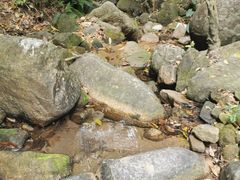 -火炉山森林公园