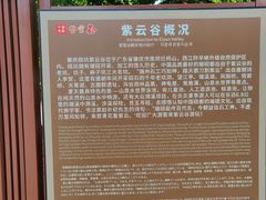 -紫云谷景区