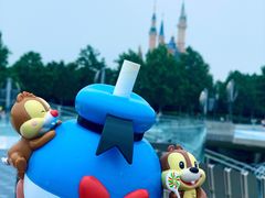 奇奇蒂蒂蜜桃风味特饮-IL paperino帕帕里诺冰激凌