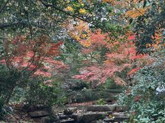-中国茶叶博物馆(双峰馆区)