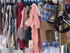 -美联众合动物医院·24h京西诊疗中心