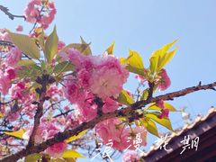 -涂山寺素食餐厅
