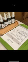 -隐逸SPA