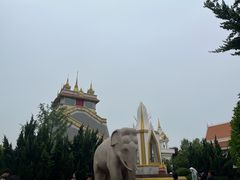 -洛阳白马寺
