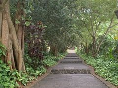 -海口火山口国家地质公园