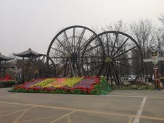 -呀路古热带植物园