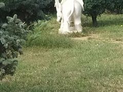 -南戴河国际娱乐中心