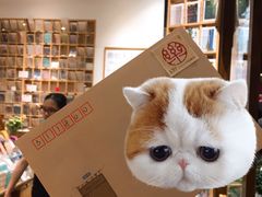 -猫的天空之城概念书店(杭州南宋御街店)
