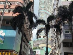 -香港港威酒店-马哥孛罗