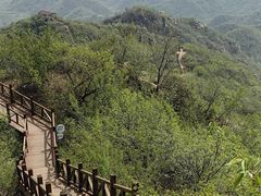 -大岭沟猕猴桃谷风景区