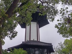 -上海佘山国家森林公园天马山园