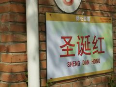 -甜心庄园·甜心草莓采摘园(西青中北店)