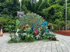 -西双版纳原始森林公园