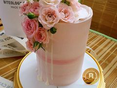 -Biteology Artisan Cakes(红庄·国际文化保税创新园店)