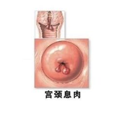 -邢台妇产医院