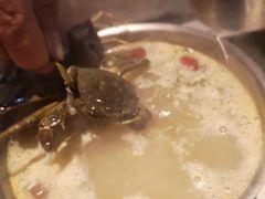 -星伦多自助料理·涮烤一体(虹悦城店)