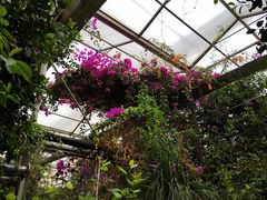 -呀路古热带植物园