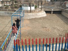 -龙裕山庄烤全羊