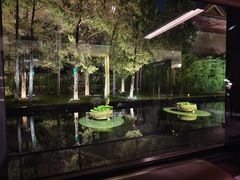 -曲水兰亭(北京四惠店)