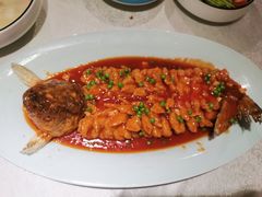 松鼠桂鱼-乾园(天河城店)