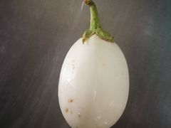 -老虎土菜馆·农家土菜