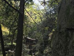 -藏龙百瀑风景区