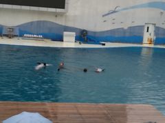 -北戴河圣蓝海洋公园